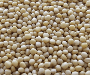Properly Processed Express Soy Meal
