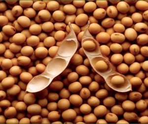 Soja