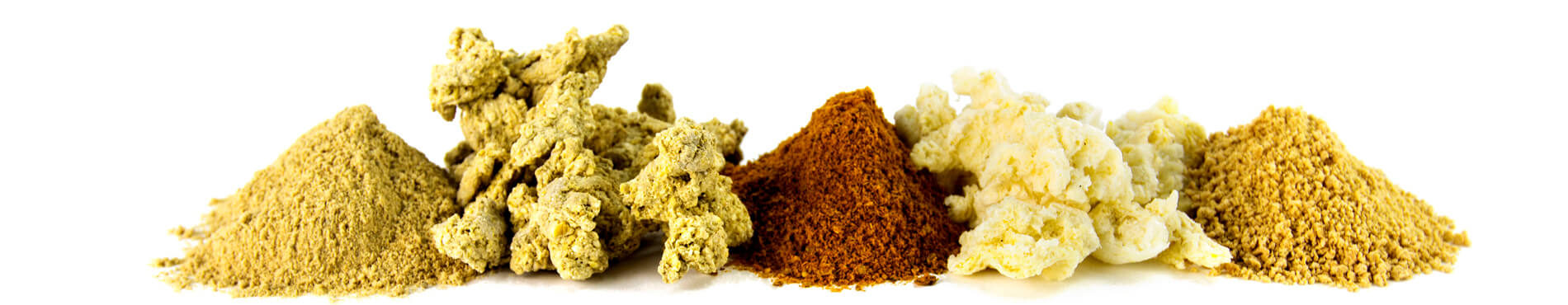 Extruded Soybean Ingredients